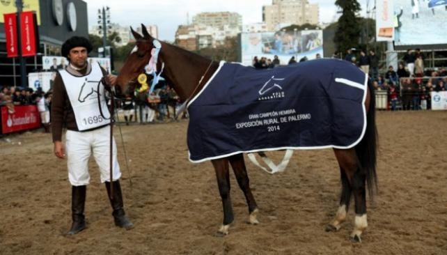 Yegua de Nalbandian, campeona en la Rural